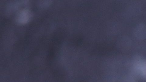 Eden Hazard abandonó en 2011 el estadio para irse a comer una hamburguesa con su familia