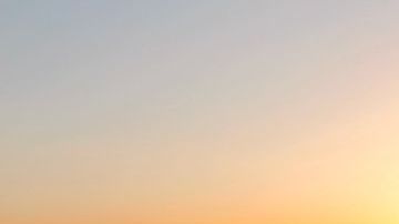 shutterstock_1119102533