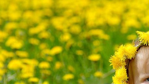 Muchas flores sirven de inspiración para nombres.