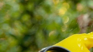 Algunos plaguicidas han sido relacionados con el cáncer.