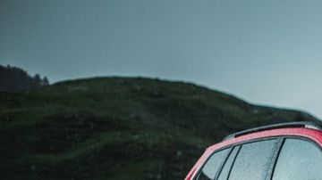 shutterstock_1183534915