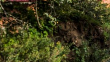 shutterstock_1185688510