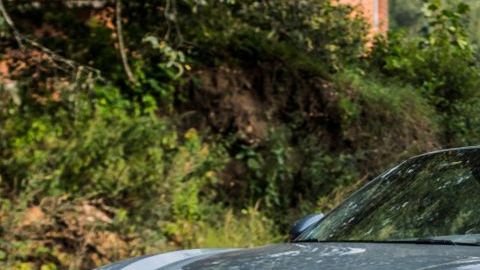 shutterstock_1185688510