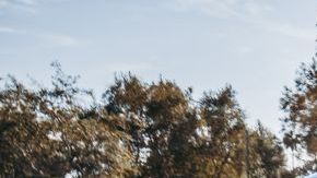 shutterstock_1193082496