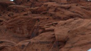 shutterstock_1195509337