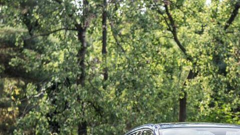 shutterstock_1232275327