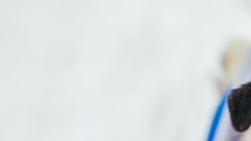 shutterstock_1250303608