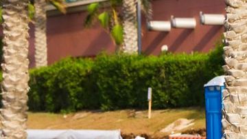 shutterstock_1262667256