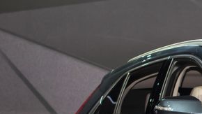 shutterstock_1288157242