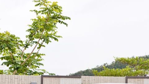 shutterstock_1314550886