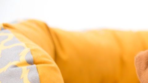 shutterstock_141236689