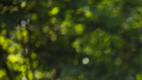 shutterstock_151647728