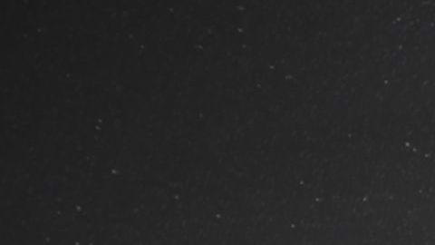 shutterstock_276043097 (1)