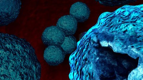 Se calcula que para 2050 las superbacterias matarán a 10 millones de personas.