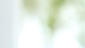 shutterstock_360765758