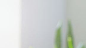 shutterstock_406432471