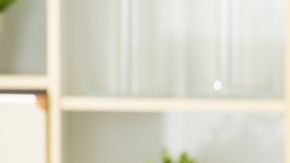 shutterstock_445267426