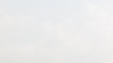 shutterstock_503302072