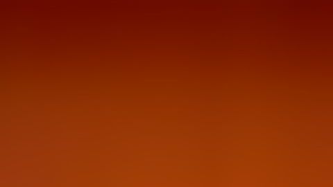 La conducta agresiva se aprende. Después no nos sorprendamos de las matanzas en las escuelas.