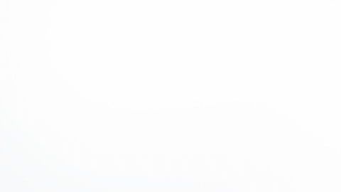 shutterstock_555961285