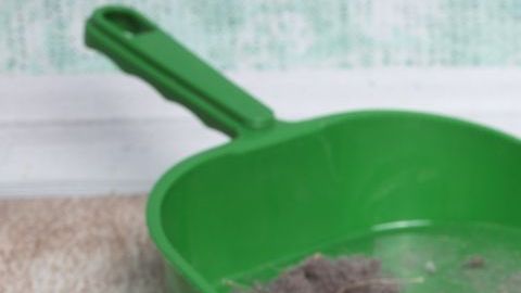 Los químicos que hay en el polvo alteran el funcionamiento del organismo.