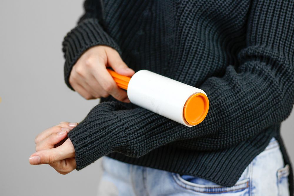 Los 4 mejores cepillos para eliminar