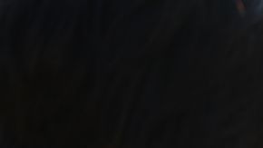 shutterstock_645839293