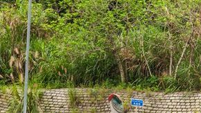 shutterstock_648548728