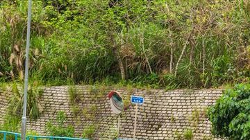 shutterstock_648548728