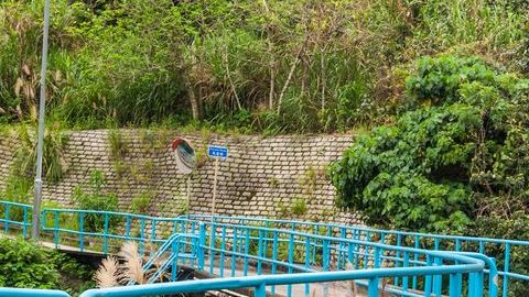 shutterstock_648548728