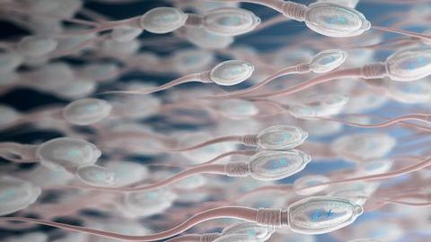 El esperma ya no es como antes.