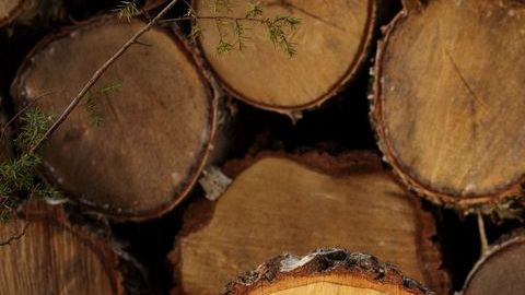 La chica pretendía obtener mucho dinero de por vida.