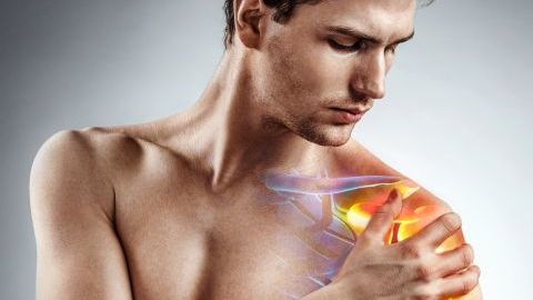 shutterstock_732789862