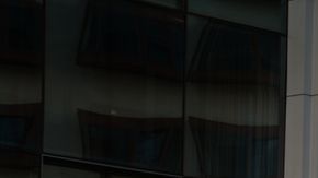 shutterstock_733565071