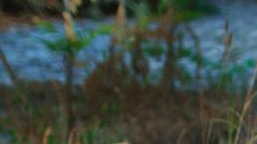 Disfrazarse de princesa es uno de los requisitos.