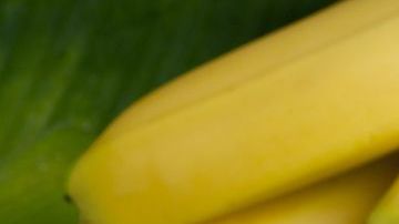 shutterstock_96246338