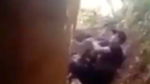 El enfrentamiento ocurrió en la sierra de Guerrero.