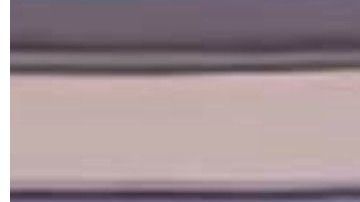 El episodio contó con el doblaje del cantante Michael Jackson.