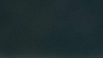 Leones Marinos. Steve Halama/UnSplash