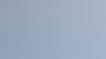 Estas espectaculares floraciones, que aparecen de media una vez cada década, han ocurrido en 2005, en 2012 aunque esa fue menor, y en 2017, la cual fue la más grande en 20 años.