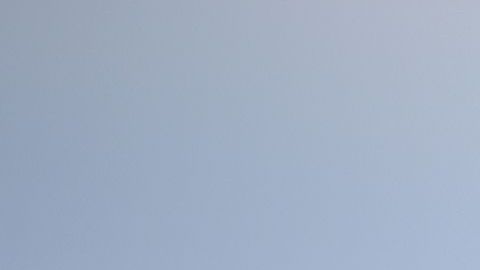 Estas espectaculares floraciones, que aparecen de media una vez cada década, han ocurrido en 2005, en 2012 aunque esa fue menor, y en 2017, la cual fue la más grande en 20 años.