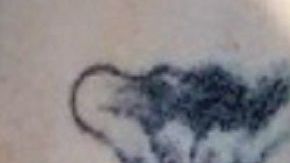 El sujeto tenía varios tatuajes.