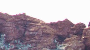 Éste es un trabajo duro, pero que alguien tiene que animarse a hacerlo.