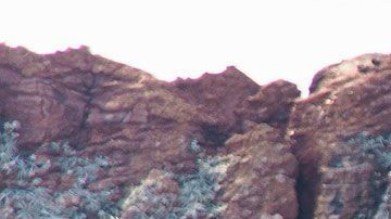 Éste es un trabajo duro, pero que alguien tiene que animarse a hacerlo.