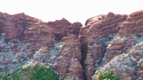 Éste es un trabajo duro, pero que alguien tiene que animarse a hacerlo.