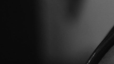 ¿Quieres saber cuándo morirás?