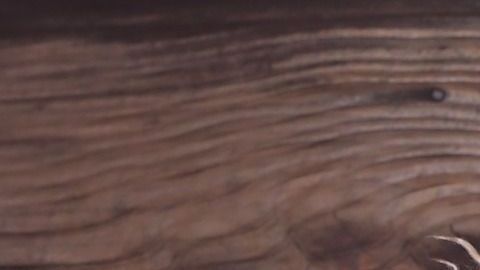 Clínicamente a estos casos se les conoce como superfecundación heteropaternal,