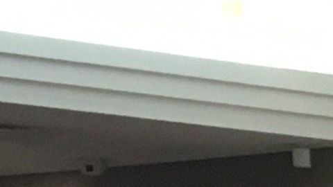 Veronica Ubaldo durante la presentación de la propuestas de ley para proteger a inmigrantes./Cortesía