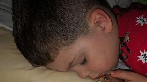 x453v-boy-accidentally-kills-goldfish-by-cuddling-in-bed-with-it