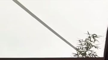 Yessica Rosales como Yalitza Aparicio.